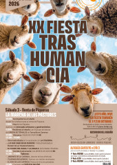 Programación Xx Fiesta De La Trashumancia De La Venta De Piqueras