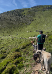 Vuelta a la Trasterminancia: de Bonicaparra a San Asensio de los Cantos